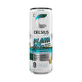 CELSIUS Playa Vibe