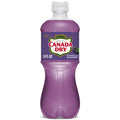 Canada Dry Blackberry Ginger Ale